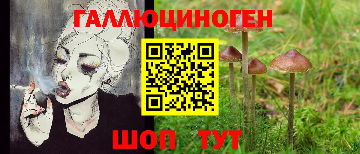 Карабулак  Галлюциногенные грибы Psilocybine cubensis  Вход с VPN  Галлюциногенные грибы мицелий 